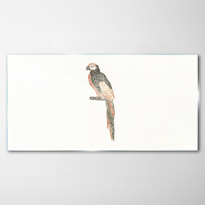 Tableau photo sur verre Un oiseau sur une branche