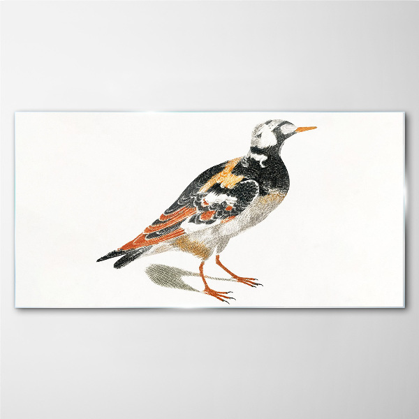 Tableau verre imprimé Oiseau sur fond blanc