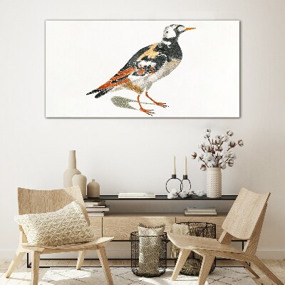 Tableau verre imprimé Oiseau sur fond blanc