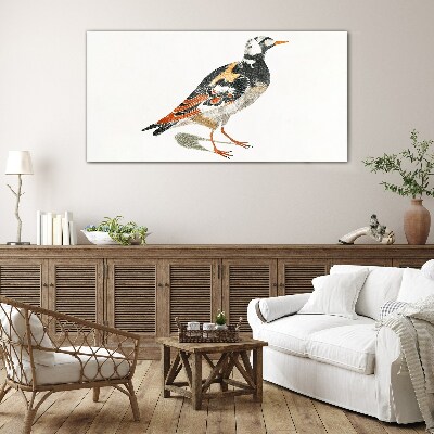 Tableau verre imprimé Oiseau sur fond blanc