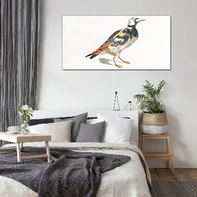 Tableau verre imprimé Oiseau sur fond blanc