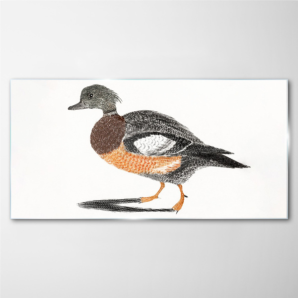 Tableau photo sur verre Canard au style graphique