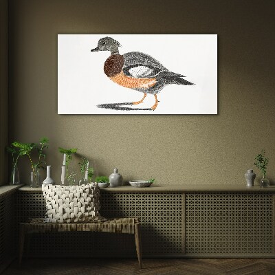 Tableau photo sur verre Canard au style graphique