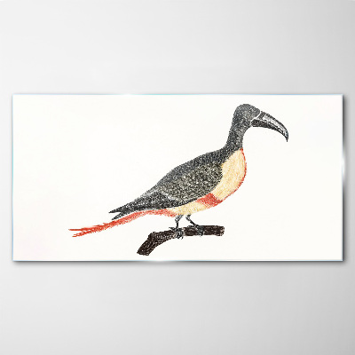 Tableau en verre Toucan sur une branche