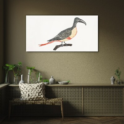 Tableau en verre Toucan sur une branche