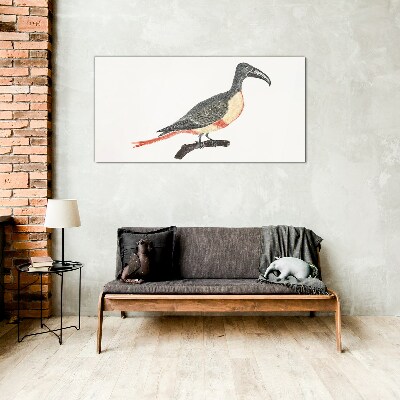 Tableau en verre Toucan sur une branche