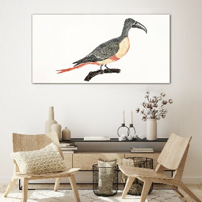 Tableau en verre Toucan sur une branche