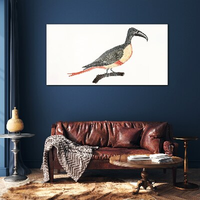 Tableau en verre Toucan sur une branche