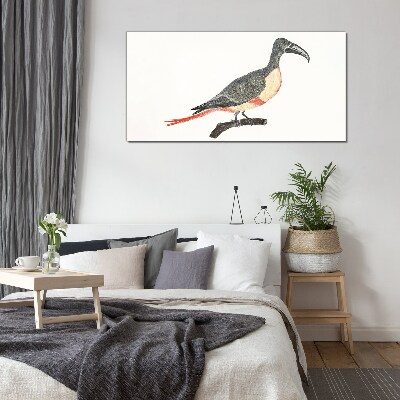 Tableau en verre Toucan sur une branche
