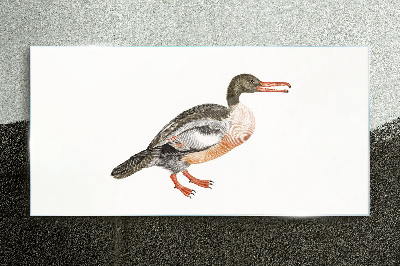 Tableau imprimé sur verre Un canard sur un fond de toile blanche