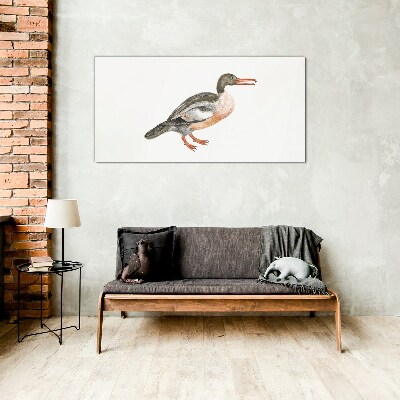 Tableau imprimé sur verre Un canard sur un fond de toile blanche
