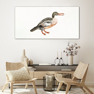Tableau imprimé sur verre Un canard sur un fond de toile blanche