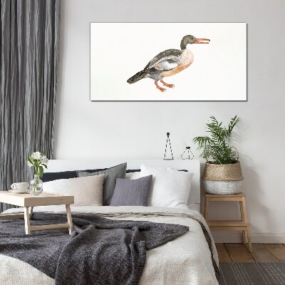 Tableau imprimé sur verre Un canard sur un fond de toile blanche