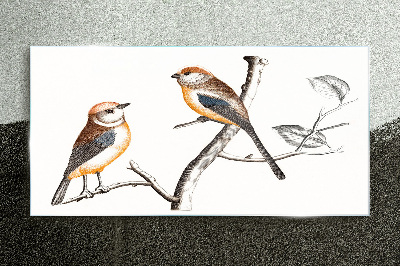 Tableau verre imprimé Oiseaux sur une branche