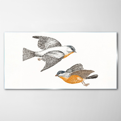 Tableau photo sur verre Oiseaux en vol