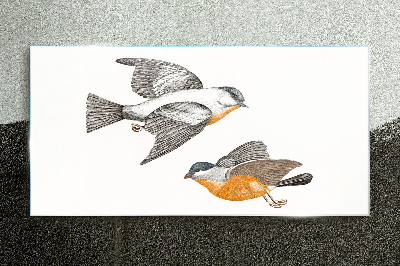 Tableau photo sur verre Oiseaux en vol