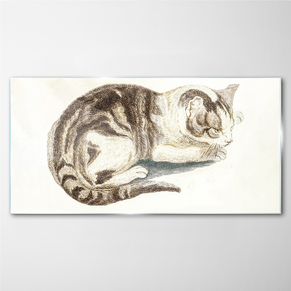 Tableau sur verre Chat endormi sur fond blanc