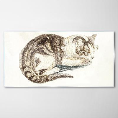 Tableau sur verre Chat endormi sur fond blanc