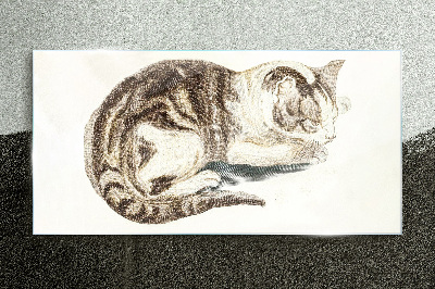 Tableau sur verre Chat endormi sur fond blanc
