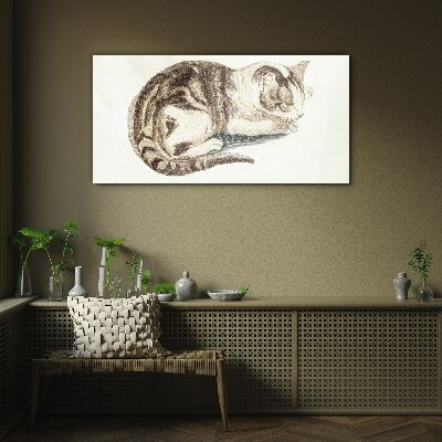 Tableau sur verre Chat endormi sur fond blanc