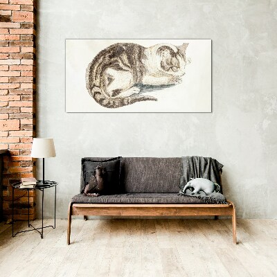 Tableau sur verre Chat endormi sur fond blanc