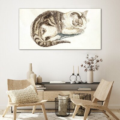Tableau sur verre Chat endormi sur fond blanc