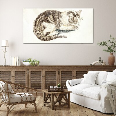 Tableau sur verre Chat endormi sur fond blanc