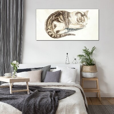 Tableau sur verre Chat endormi sur fond blanc
