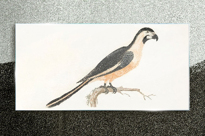 Tableau photo sur verre Un oiseau sur une branche