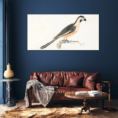 Tableau photo sur verre Un oiseau sur une branche