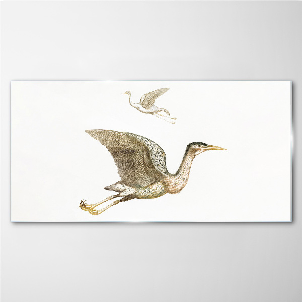 Tableau photo sur verre Le vol d'un oiseau au-dessus d'une eau calme