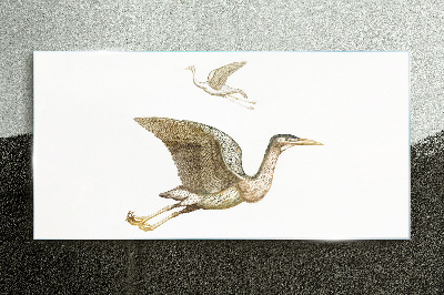 Tableau photo sur verre Le vol d'un oiseau au-dessus d'une eau calme