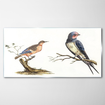 Tableau sur verre Oiseaux sur une branche