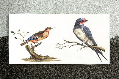 Tableau sur verre Oiseaux sur une branche