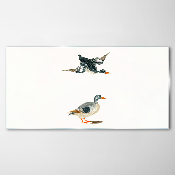 Tableau imprimé sur verre Oiseaux aquatiques en vol et au sol