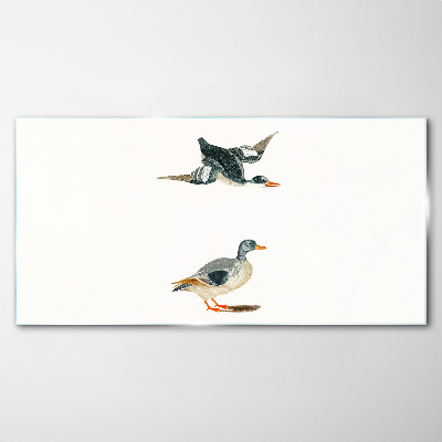 Tableau imprimé sur verre Oiseaux aquatiques en vol et au sol