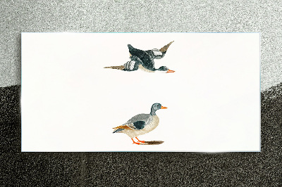 Tableau imprimé sur verre Oiseaux aquatiques en vol et au sol