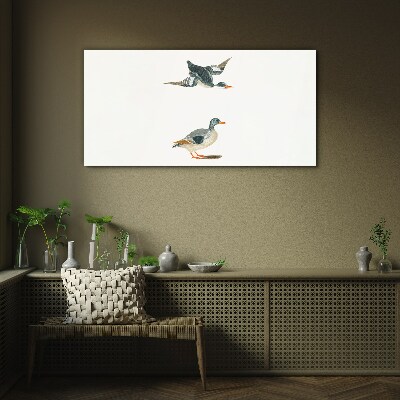 Tableau imprimé sur verre Oiseaux aquatiques en vol et au sol