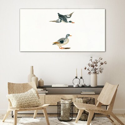 Tableau imprimé sur verre Oiseaux aquatiques en vol et au sol