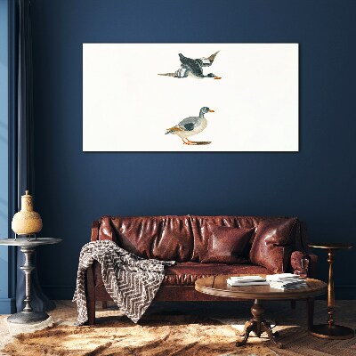 Tableau imprimé sur verre Oiseaux aquatiques en vol et au sol