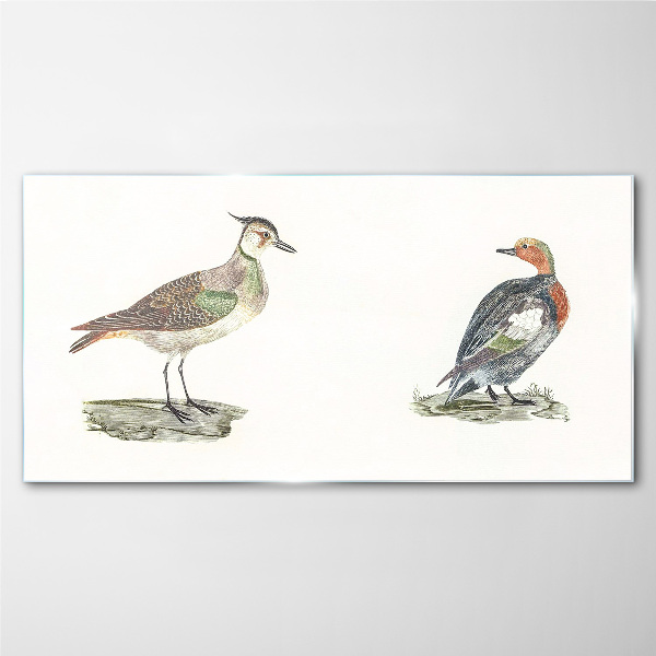 Tableau verre imprimé Oiseaux colorés sur fond blanc