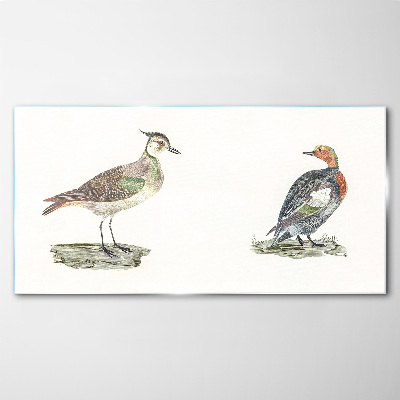 Tableau verre imprimé Oiseaux colorés sur fond blanc