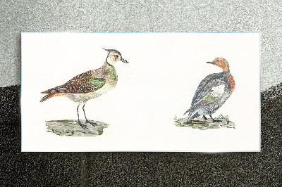 Tableau verre imprimé Oiseaux colorés sur fond blanc