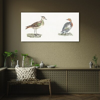 Tableau verre imprimé Oiseaux colorés sur fond blanc