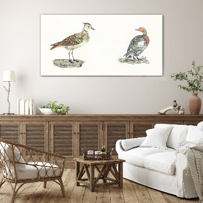 Tableau verre imprimé Oiseaux colorés sur fond blanc