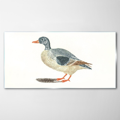 Tableau photo sur verre Canard aux tons pastel