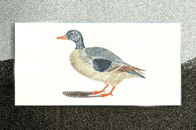 Tableau photo sur verre Canard aux tons pastel