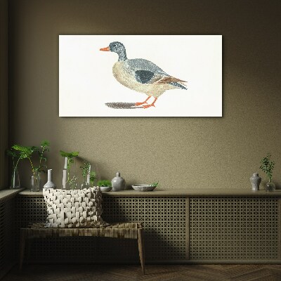Tableau photo sur verre Canard aux tons pastel