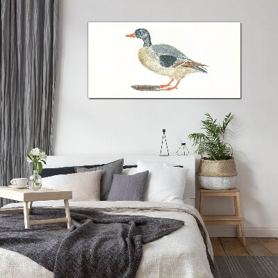 Tableau photo sur verre Canard aux tons pastel