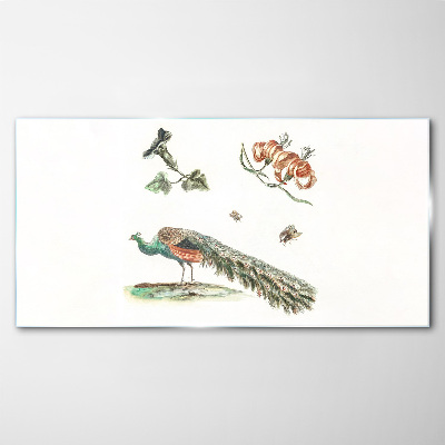 Tableau imprimé sur verre Paon parmi les fleurs et les insectes